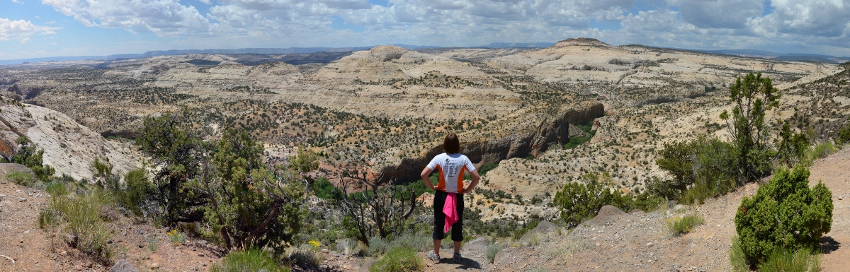 Top of Zion Relay 2014